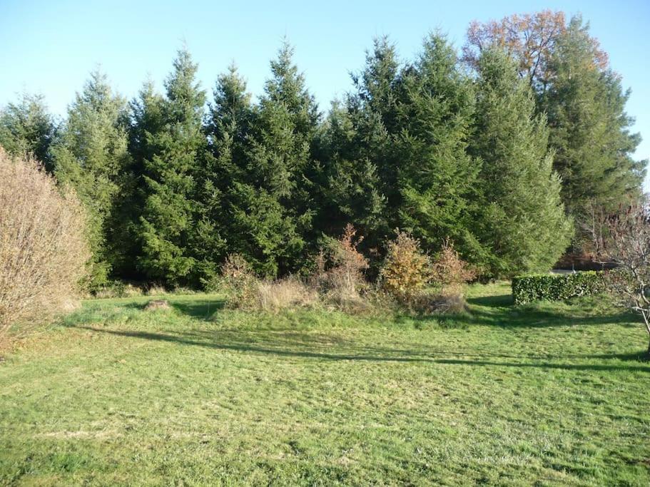 Gite Des Forces - Limousin - Haute Vienne Saint-Bazile Buitenkant foto